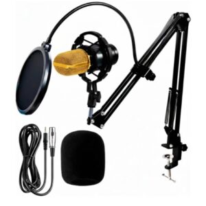 MICROFONO PROFESIONAL BM800